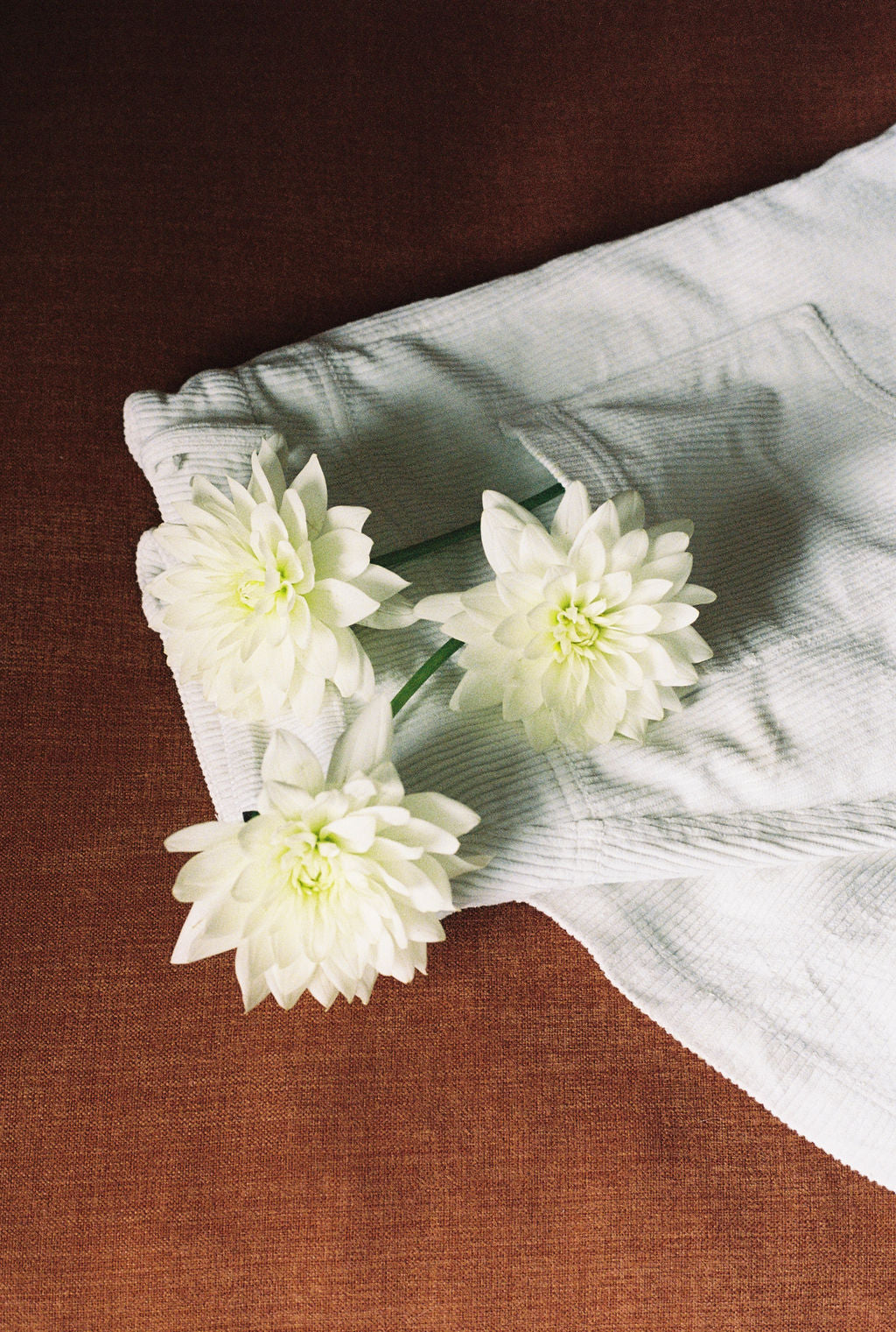 Pantalon "ballon" en velours